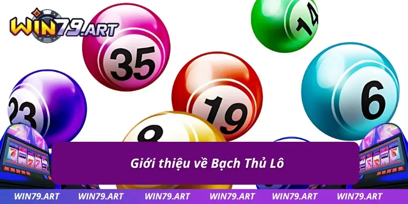 Đôi nét cơ bản cần biết trước khi bắt Bạch Thủ Lô